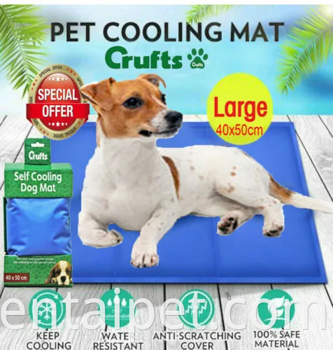 Vendita calda Magic Raffredding Pad Mat Pet Bed Cat Cat Summer